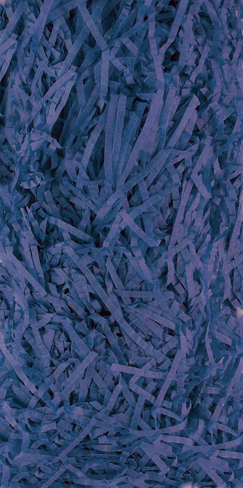 Shredded Tissue Paper 20g - Blue