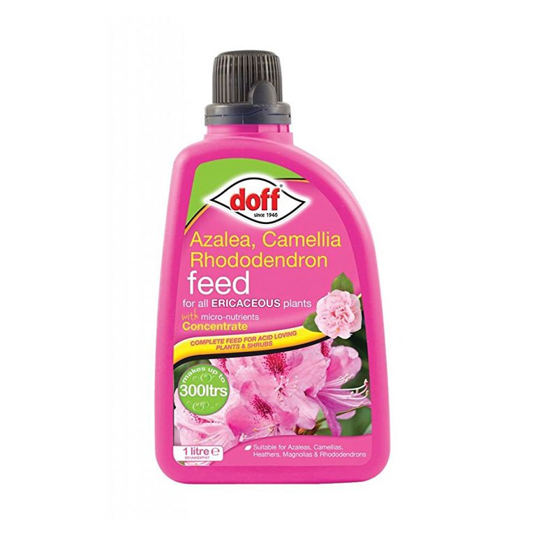 Doff Azalea,Camellia & Rhododendron Feed 1ltr