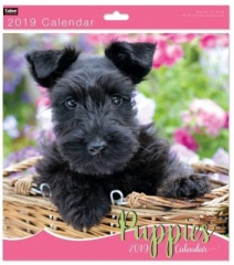Square Calendar: Kittens & Puppies