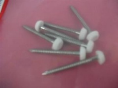 Star Pack Plastic Top Nail White Stainless Steel 30mm(72129)