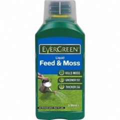 Evergreen Liquid Feed & Moss 6x1 Ltrs