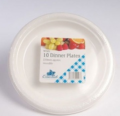 THERMO AG / IV 9'' DINNER PLATES 10s