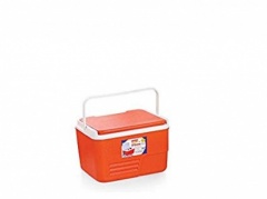 Icy Cool Box 6Ltr