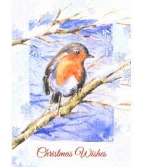 10 SQUARE PAINTED TRAD ROBIN CARDS