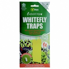 Vitax Organic Whitefly Traps