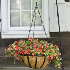 14 inch hanging basket