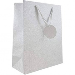 ED GIFT BAGS, SILVER CELEB BAGS LARGE (YAJGB13L) PACK 6