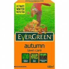 Autumn Lawn Feed & Moss Killer 100m2 Box