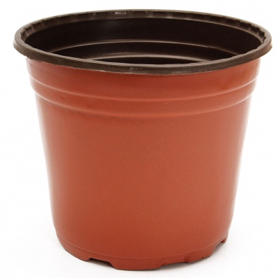 19cm plant pot