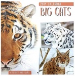 Square Calendar:Big Cats,Endangered Animals
