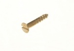 Star Pack Screw Steel Eb Slotted Csk  X 6(72744)