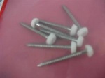 Star Pack Plastic Top Nail White Stainless Steel 30mm(72129)