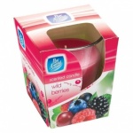 Pan Aroma 151 CLEAR GLASS CANDLE  WILD BERRIES (PAN0286)