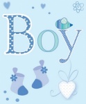 Simon Elvin Baby Boy Gift Tags Pk12