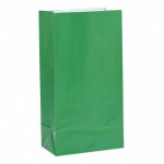12 PAPER PARTY BAGS-GREEN