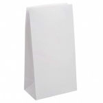12 PAPER PARTY BAGS-WHITE