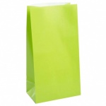 12 PAPER PARTY BAGS-LIME GREEN