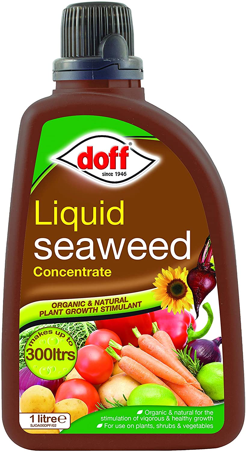 Doff Seaweed Plant Feed 1Ltr