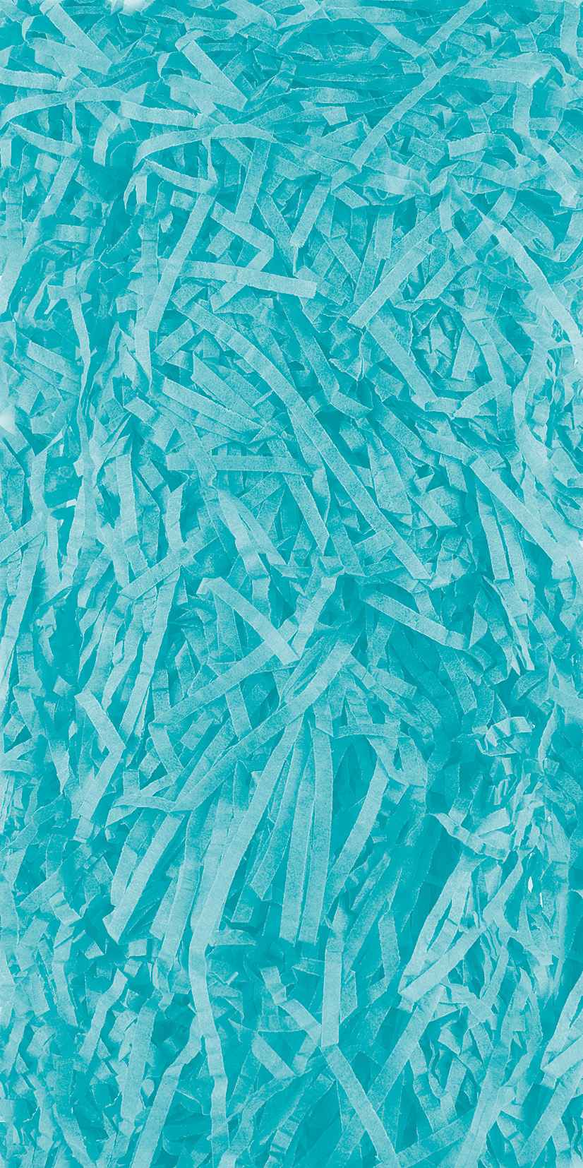 Shredded Tissue Paper 20g - Turquoise