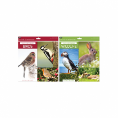 Square Calendar: UK Nature Birds & Wildlife