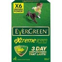 Evergreen Extreme Green 80 M2