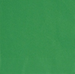 50 Emerald Green Lunch Napkins