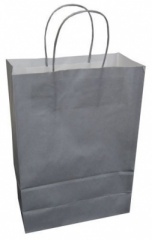 Vivid Gift Bags Large
