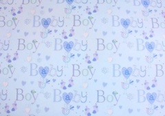 Simon Elvin Baby Boy Gift Wrap