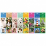 Slim Calendar: Puppies,Dogs,Kittens,Cats,Flowers