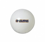 225mm Cup Champions Soccer Ball