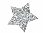 21cm Apx 3d Glitter Star Silver