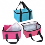 Redwood Leisure Lunch Bag with Ice Pack & Storage Box