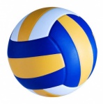 Volley Ball