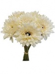 Gerbera Bunch 8 Hds 37cm White