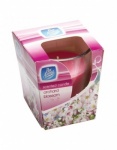 Pan Aroma 151 CLEAR GLASS CANDLE  ORCHARD BLOSSOM (PAN0284)