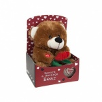 9 Record A Message Love Bear in Gift Box