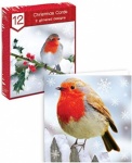 12 Square Cards - Photographic Robins   (FRBO)