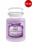 15oz Wild Idris Scented Candle