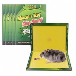 Rat Glue Trap