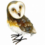 Kreation Kraft Barn Owl Garden Ornament (84009)