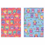 A6 Organiser Owl Design with Magnetic Closur-