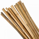 90cm Bamboo Canes 20 pack