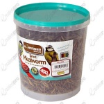 400g Tub Dried Mealworms Wild Bird Feed