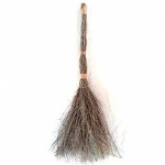 WITCHES BROOM PDQ
