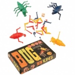 Ashwood Bug Game
