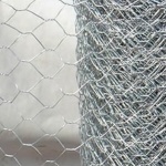 Netting St/S Galv. 25mm 250g