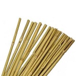 Bamboo Canes 183cm Pk10