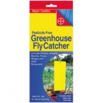 Bayer Greenhouse Fly Catcher Pk7