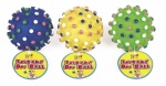 Pets Play 151 PET SQUEAKY BALL ASST (PAP1009)