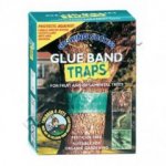 Glue Band Trap